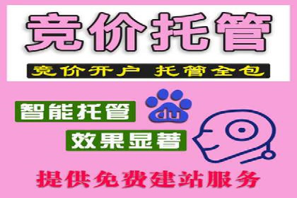 探索SEM服务托管的未来趋势及发展案例